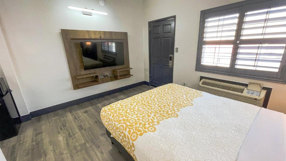 A hotel room with a bed, TV, window, and door.