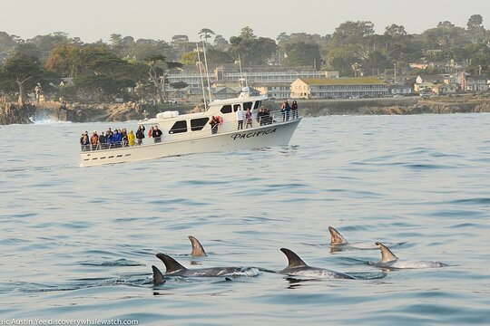 Tour image 6
