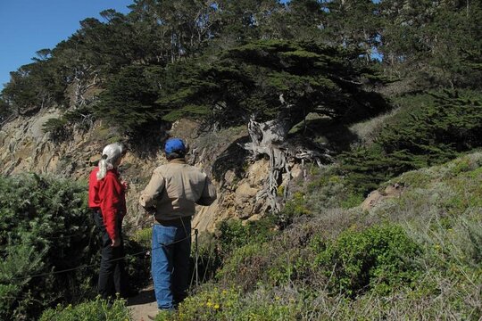 Tour image 3