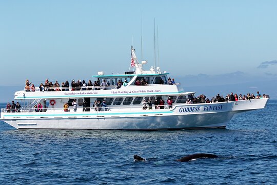 Tour image 1