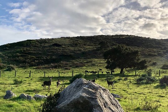 Tour image 6