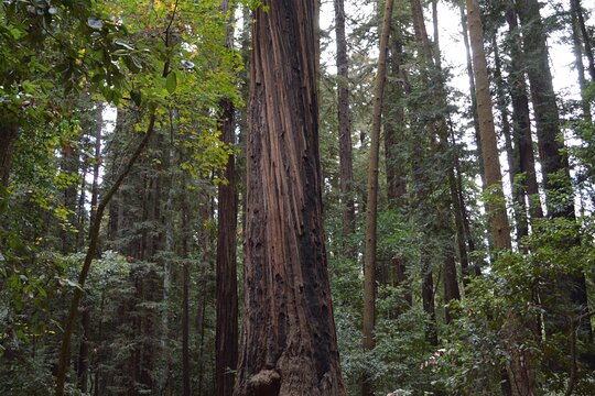 Tour image 11